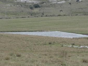 https://web5.gallito.com.uy/bajo-de-preciocampo-sobre-r12-y-a-menos-de-1-inmuebles-22537887