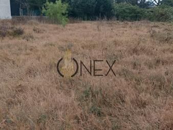 https://www.gallito.com.uy/onex-vende-2-terrenos-en-parque-del-plata-sur-inmuebles-27699701
