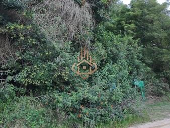 https://web5.gallito.com.uy/terreno-en-venta-en-las-grutas-amplio-con-de-al-inmuebles-27662112