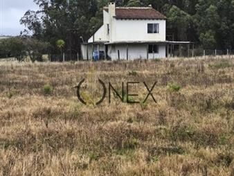 https://web5.gallito.com.uy/venta-chacra-3-ha-corte-de-la-leña-con-casa-inmuebles-27865835