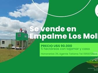 https://web5.gallito.com.uy/venta-de-chacra-en-empalme-los-molles-inmuebles-27896480