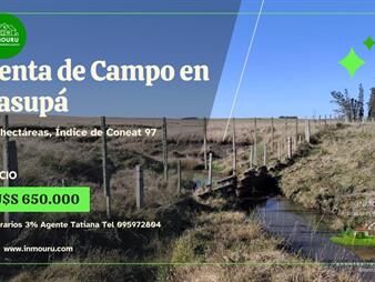 https://www.gallito.com.uy/venta-de-campo-en-casupa-inmuebles-27896949