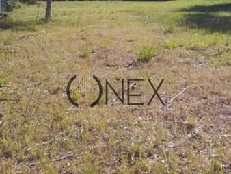 https://www.gallito.com.uy/vendo-terreno-guazuvira-sur-con-servicios-de-y-inmuebles-27306939