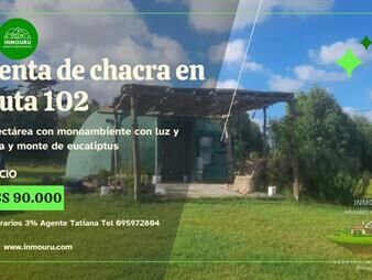 https://web5.gallito.com.uy/venta-de-chacra-en-colonia-nicolich-inmuebles-27898978