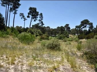https://web5.gallito.com.uy/venta-de-lote-en-acres-de-solanas-punta-ballena-inmuebles-26386412