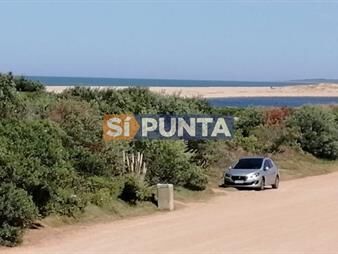 https://web5.gallito.com.uy/terreno-en-punta-ballena-chihuahua-inmuebles-27899521