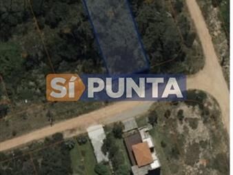 https://web5.gallito.com.uy/lote-nivelado-inmuebles-27899522