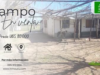 https://www.gallito.com.uy/venta-de-campo-en-sauce-inmuebles-27896608