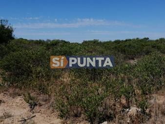 https://web5.gallito.com.uy/lote-junto-al-mar-inmuebles-27899726