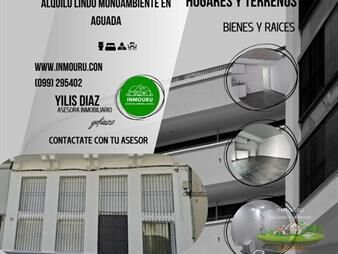 https://web5.gallito.com.uy/alquilo-lindo-y-amplio-monoambiente-ubicado-en-inmuebles-27899730