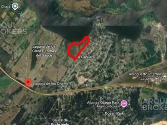 https://web5.gallito.com.uy/terreno-rural-en-venta-en-laguna-del-sauce-inmuebles-27899763