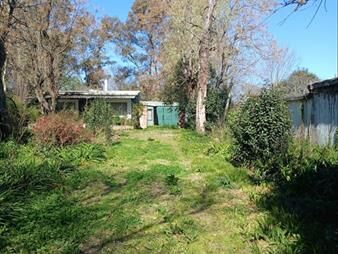 https://web5.gallito.com.uy/venta-chacra-–-bañados-de-carrasco-km-16-camino-maldonado-inmuebles-27899779