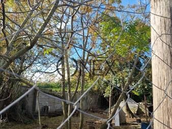 https://www.gallito.com.uy/se-vende-terreno-con-mejoras-en-el-pinar-inmuebles-27831896
