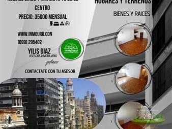 https://web5.gallito.com.uy/alquilo-amplio-y-luminoso-apto-ubicado-en-el-inmuebles-27907320