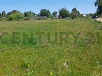 https://web5.gallito.com.uy/destacado-terreno-523-m²playa-pascual-cerca-de-ruta-1-n-inmuebles-26386197