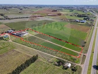 https://web5.gallito.com.uy/venta-nave-logistica-sobre-ruta-5-canelones-inmuebles-27914004
