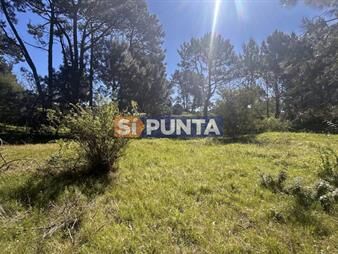 https://web5.gallito.com.uy/lote-apto-para-ph-en-pinares-punta-del-este-inmuebles-27907461