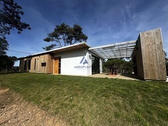 https://www.gallito.com.uy/alquiler-anual-punta-ballena-inmuebles-27917820