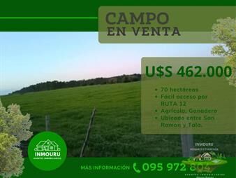 https://www.gallito.com.uy/venta-de-campo-por-ruta-12-inmuebles-27699748