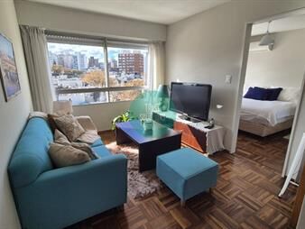 https://www.gallito.com.uy/hermoso-y-calido-apartamento-reciclado-y-equipado-inmuebles-27836002