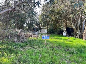 https://www.gallito.com.uy/lote-en-sauce-de-portezuelo-maldonado-ref-inmuebles-23065826