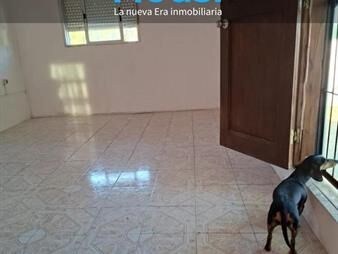 https://www.gallito.com.uy/apartamento-en-alquiler-1-dormitorio-sin-gastos-comunes-ent-inmuebles-27926368