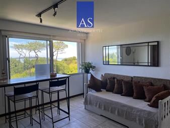 https://web5.gallito.com.uy/apartamento-1-dormitorio-frente-al-mar-playa-del-inmuebles-27927090