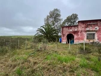 https://www.gallito.com.uy/alquiler-campo-de-2-hectareas-ruta-7-san-jacinto-inmuebles-27928545
