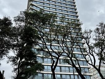 https://www.gallito.com.uy/alquiler-apto-1-dorm-en-edificio-joy-montevideo-inmuebles-27929924