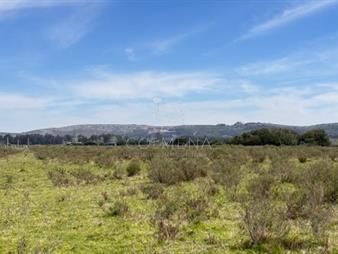 https://web5.gallito.com.uy/campo-11-has-en-los-ceibos-inmuebles-27929006