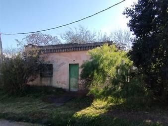 https://www.gallito.com.uy/tu-futuro-refugio-en-aigua-un-lienzo-en-blanco-para-la-vid-inmuebles-27935668