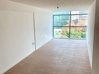 https://www.gallito.com.uy/venta-apartamento-monoambiente-centro-rio-negro-y-18-de-jul-inmuebles-17110417