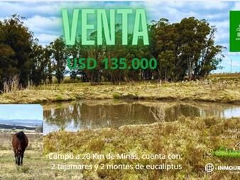 https://www.gallito.com.uy/venta-campo-en-minas-inmuebles-27936219