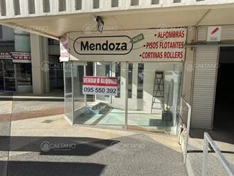 https://web5.gallito.com.uy/alquiler-local-comercial-a-media-cuadra-de-gorlero-punta-de-inmuebles-27941178