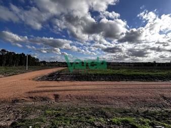 https://www.gallito.com.uy/varela-vende-terrenos-financiados-leer-inmuebles-27941525