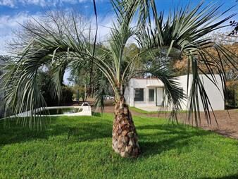 https://www.gallito.com.uy/proximo-arroyo-pinar-alquiler-inmuebles-27941630