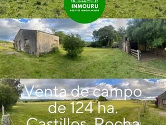 https://www.gallito.com.uy/venta-de-campo-en-castillos-rocha-inmuebles-27947210