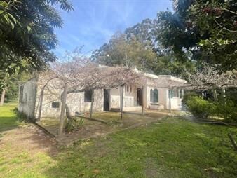 https://www.gallito.com.uy/venta-de-chacra-en-riachuelo-–-colonia-inmuebles-27929863