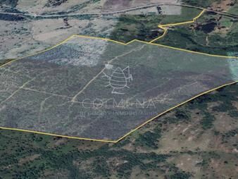https://web5.gallito.com.uy/campo-cerca-de-ciudad-de-aigua-inmuebles-24937044
