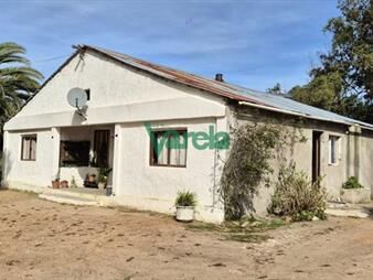 https://web5.gallito.com.uy/chacra-de-6-hasen-santa-lucia-del-este-inmuebles-27950572