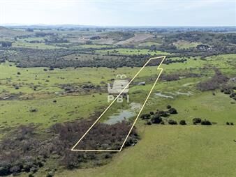 https://web5.gallito.com.uy/chacra-en-venta-en-punta-ballena-maldonado-inmuebles-27950139