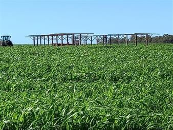 https://www.gallito.com.uy/campo-agricola-ganadero-en-venta-–-tomas-gomensoro-artigas-inmuebles-27899764