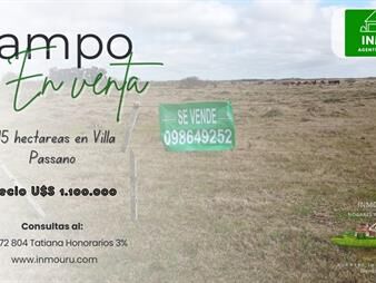 https://www.gallito.com.uy/venta-de-campo-en-villa-passano-inmuebles-27691167