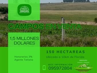 https://www.gallito.com.uy/venta-de-campos-en-paraje-la-pedrera-inmuebles-27918046