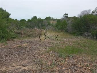 https://www.gallito.com.uy/se-vende-terreno-de-300m-en-balneario-inmuebles-27963545