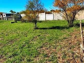 https://web5.gallito.com.uy/amplio-terreno-en-zona-norte-inmuebles-27968068