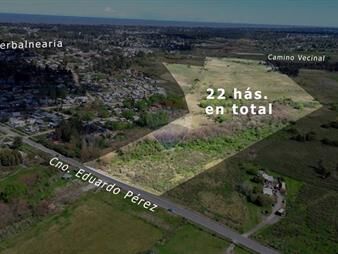 https://www.gallito.com.uy/venta-de-terreno-de-22-has-el-pinar-norte-inmuebles-27968189