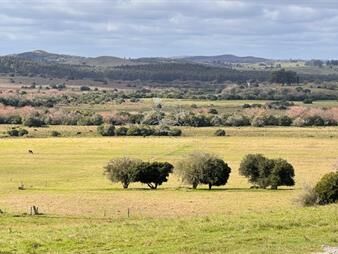 https://www.gallito.com.uy/chacra-5-has-en-campanero-con-buena-vistas-y-inmuebles-23748097