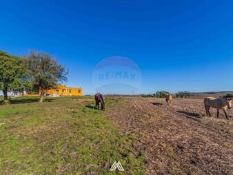 https://www.gallito.com.uy/campo-en-venta-39-hectareas-migues-canelones-inmuebles-27971951