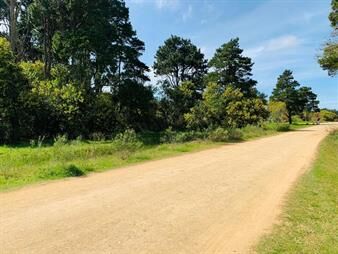https://www.gallito.com.uy/venta-lote-rocha-santa-isabel-de-la-pedrera-inmuebles-27976322